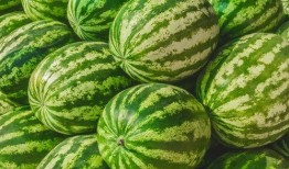 吃瓜网每日大赛 吃瓜网每日大赛,精彩对决，瓜界风云再起